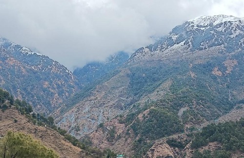 Dharamshala House | Joy Homestay Mcleodganj Property located 300m from main Jogiwara Road