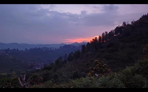 Ooty House | Joy House - 1 bhk Cozy entire house
