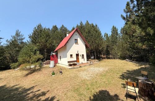 Blidinje Nature Park Ski Chalet | Jozin put -planinska kuća
