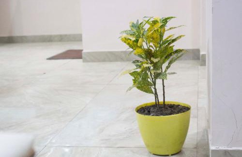 Faridabad House | JSB HOTEL