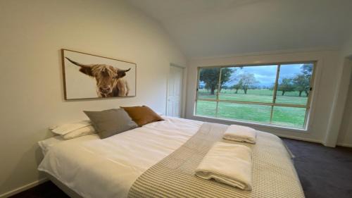 Mansfield House | Jumbuck Cottage