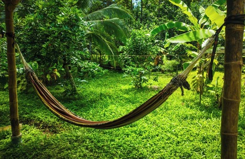 Cocles Apartment | Jungle house, house in the jungle 800mt from the sea, ideal to relax and rest.