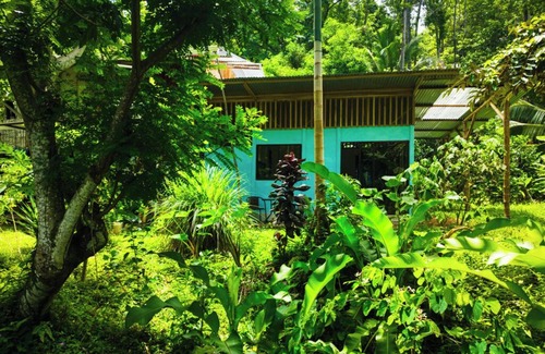 Cocles Apartment | Jungle house, house in the jungle 800mt from the sea, ideal to relax and rest.