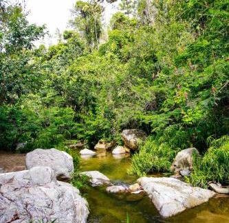 San Jose de las Matas Ski Chalet | Junglavida