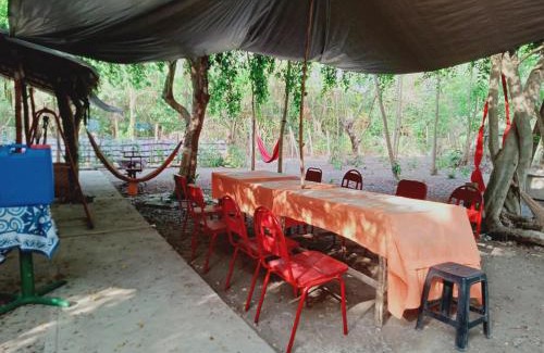 Luna Other | JUNGLE AERIAL ARTS NAMASTE LA UNION Chi fan kubo 2pax