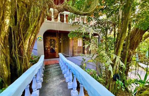 Manuel Antonio Hotel | Jungle Beach Hotel Manuel Antonio