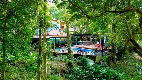 Manuel Antonio Hotel | Jungle Beach Hotel Manuel Antonio