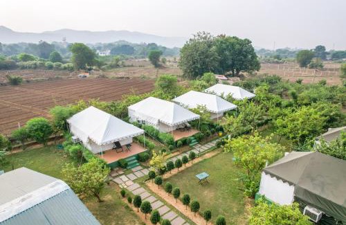 Sawai Madhopur Other | Jungle Book Ranthambore