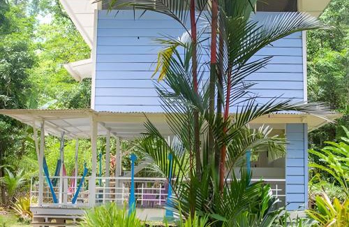 Manzanillo House | Jungle Dreamz