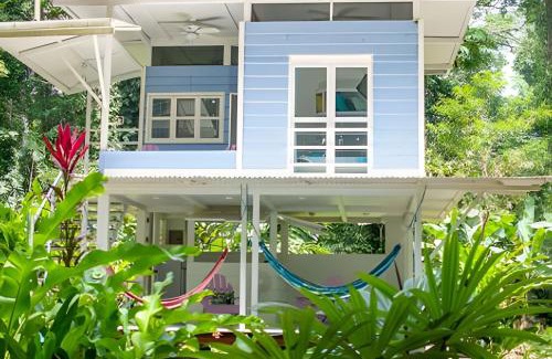 Manzanillo House | Jungle Dreamz