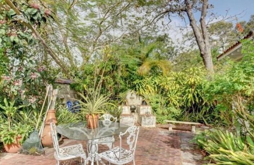 Riverside Park House | Jungle Getaway In The Heart of Ft. Lauderdale