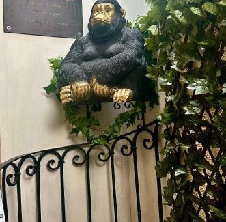 Fumel Apartment | Jungle Gite