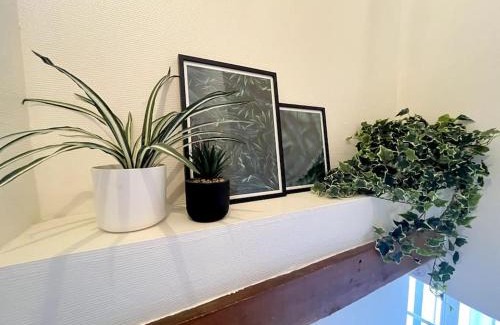 Romans-sur-Isere Apartment | Jungle Haven - Romans-sur-Isère
