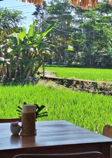 Penestanan Apartment | Jungle Hideaway Villas 4 - River Cafe