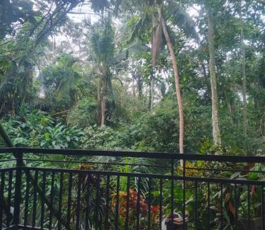 Penestanan Apartment | Jungle Hideaway Villas 4 - River Cafe