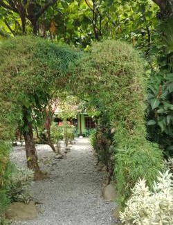Bukit Lawang Apartment | Jungle house and treking