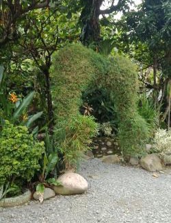 Bukit Lawang Apartment | Jungle house and treking