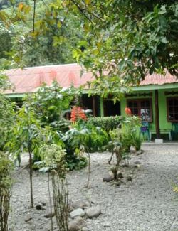 Bukit Lawang House | Jungle house and treking