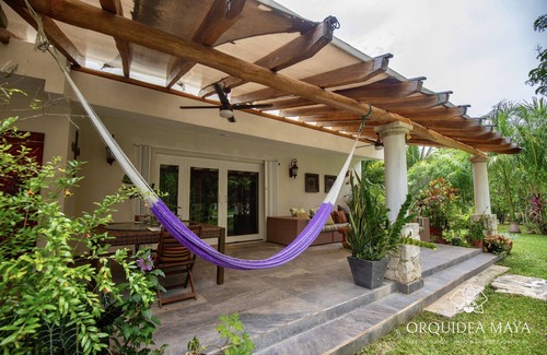 Costa Maya House | Jungle House in Cenote & Mayan Ruins Area & Tree House- 2miles from the beach.