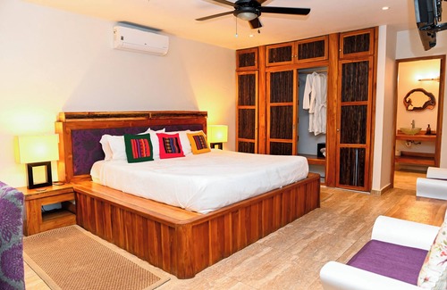 Cerro Azul Bed & Breakfast | Jungle Mansion - 7 Bedrooms with Gardens, Pool, Jacuzzi, & More