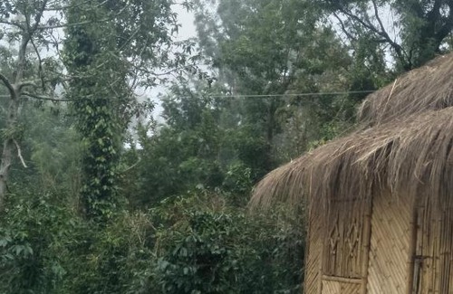 Kodaikanal Hotel | jungle retreat natural stay kombaikadu