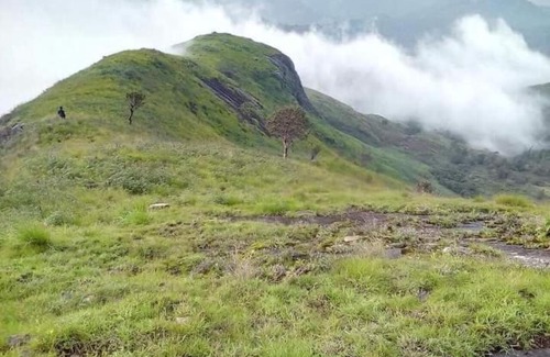 Kodaikanal Hotel | jungle retreat natural stay kombaikadu