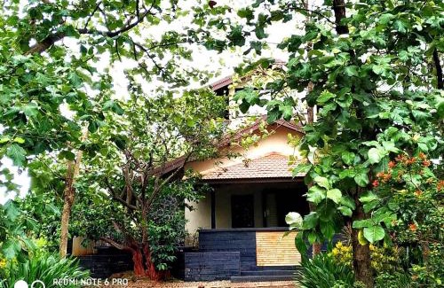 Nashik Villa | Jungle Safari Resort & Holiday Villa