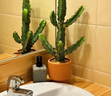 Lunel Apartment | Jungle Suite ,Terrasse, Wi-Fi & Parking PV