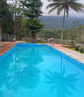 Kottappadi part Hotel | JUNGLE VALLEY AYURVEDIC SPa RESORT