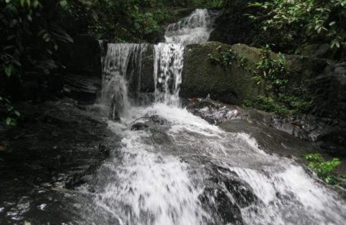 Bukit Lawang House | Jungle View Homestay & Guesthouse Only Stay Here Book Treking With Us