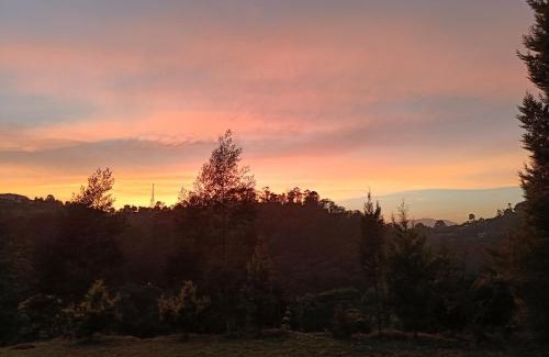 Coonoor House | Jungle view