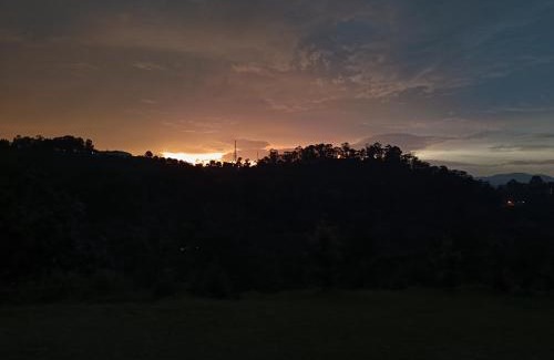 Coonoor House | Jungle view