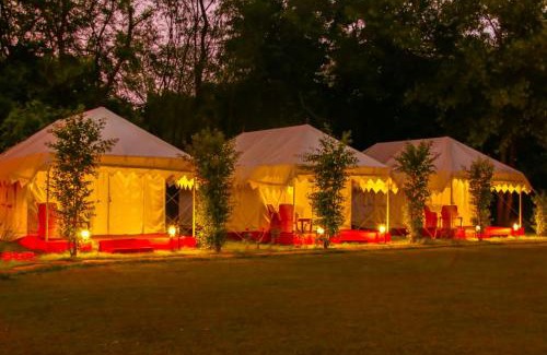 Sawai Madhopur Resort | Jungle View Resort Ranthambhore