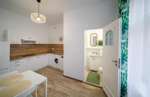 Opole Apartment | Jungle Vision Apartment - Rynek