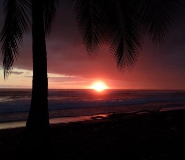Playa Matapalo Bed & Breakfast | Junglehouse Matapalo