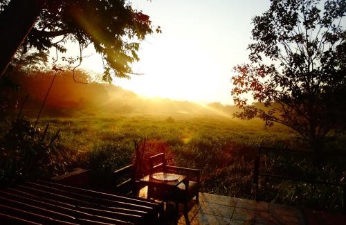 Playa Matapalo Bed & Breakfast | Junglehouse Matapalo