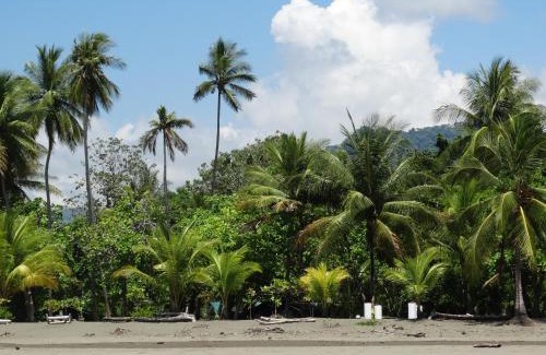 Playa Matapalo Bed & Breakfast | Junglehouse Matapalo