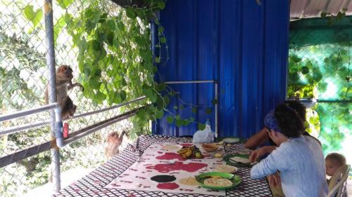 Thekkady House | Jungleparadiso Homestay