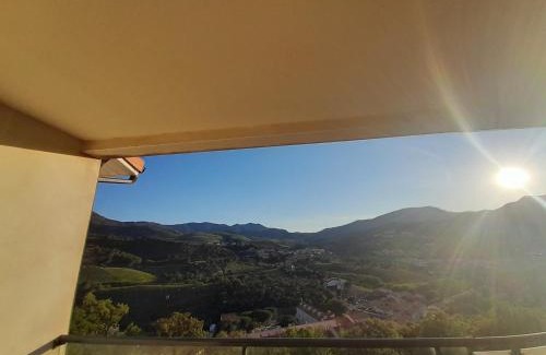 Banyuls-sur-Mer Apartment | Junior 14600