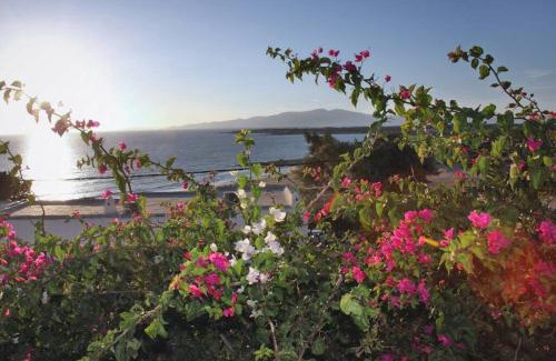 Naxos Apartment | Junior paradise!