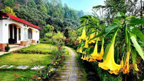 Shyamkhet Resort | Just Naturals Wellness Resort Nainital