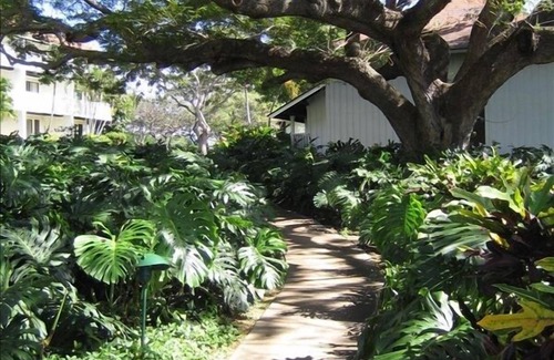 Poipu Condo | Just the Perfect Location!