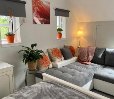 Currie House | JustB Deva Edinburgh