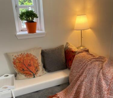 Currie House | JustB Deva Edinburgh