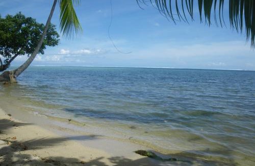 Vai'anae House | JUSTMOOREA Location Haapiti