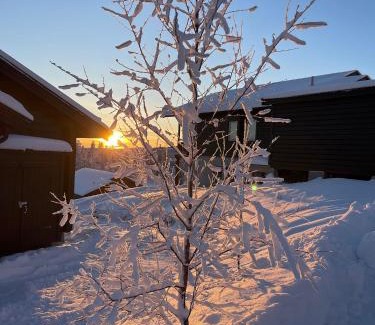 Kabdalis Resort | Kåbdalis ski in- ski out Blåfjell Stugby