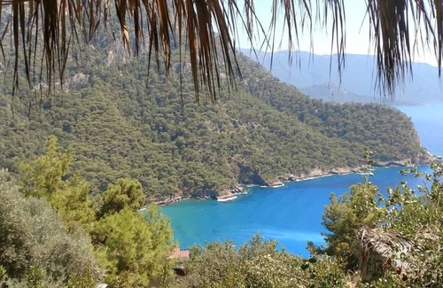 Kabak Valley Cabin | Kök Kamp