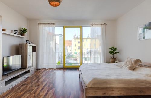 Kothen Apartment | Köthen Loft Apartment