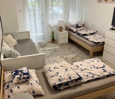 Kiskunfelegyhaza Apartment | Központi Apartman 2