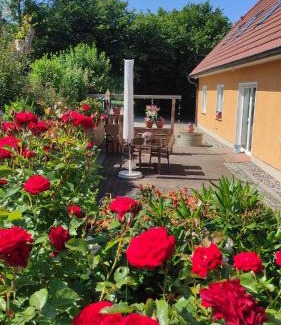 Steffenshagen Apartment | Küstenblüte